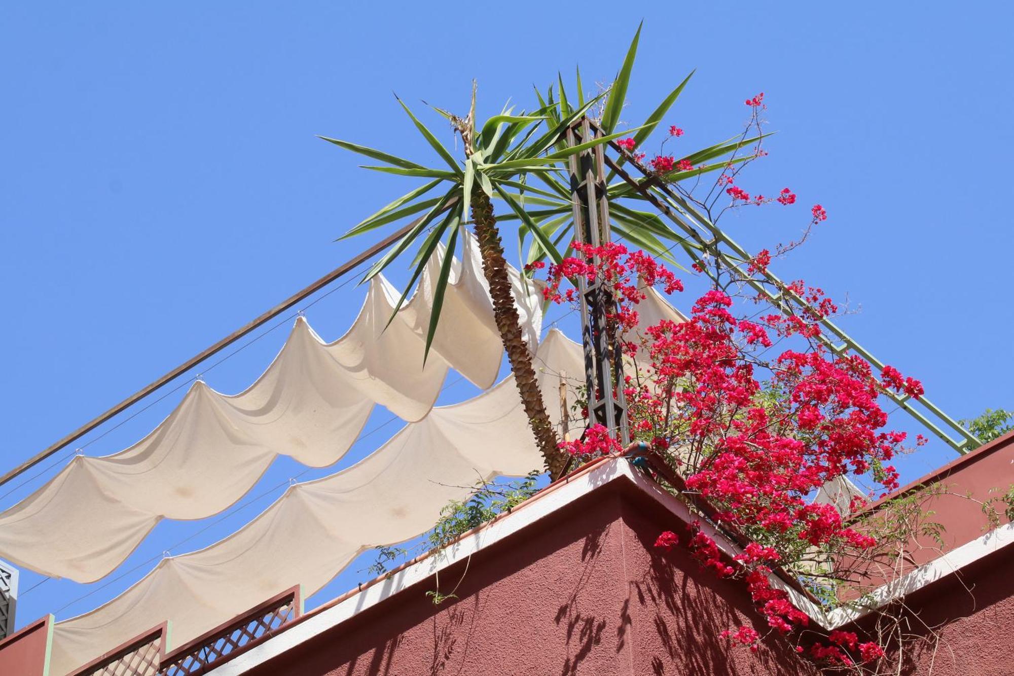 Riad Celia 마라케시 외부 사진